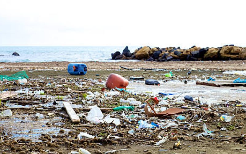Rác thải nhựa – Nguồn gốc và hiểm họa tiềm tàng